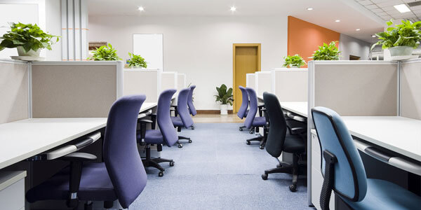 Office chairs lined up in cubicles